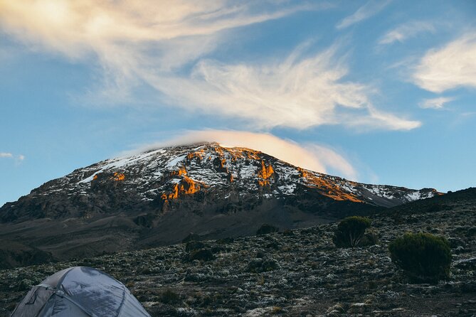 6 Days Kilimanjaro Climbing Marangu Route - Returning through Mandara to Moshi