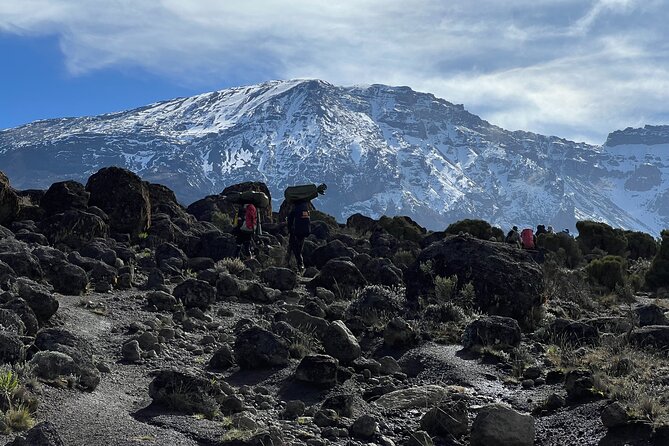 6 Days Kilimanjaro Climbing Marangu Route - Heathland, lobelias, and Horombo Huts