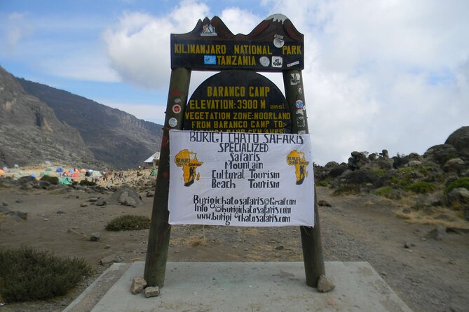 6 Days Kilimanjaro hiking tour | climb Kilimanjaro Machame Route - Day 3: Shira Camp to Barranco Camp