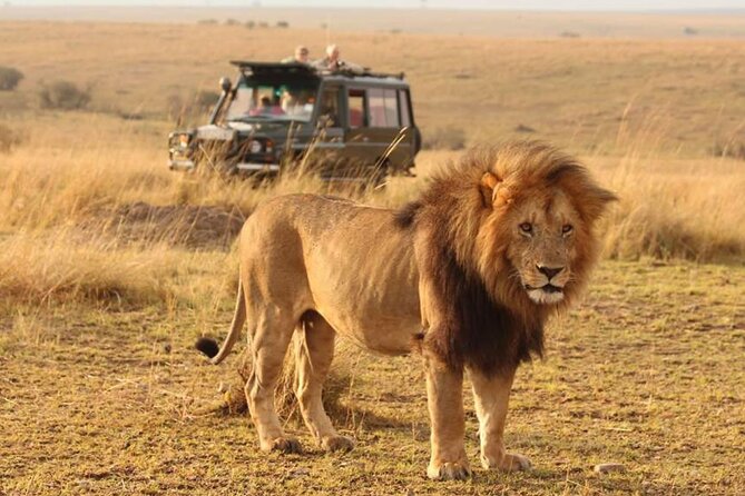 6 Days lodge &camping tour Serengeti ,Tarangire ,Ngorongoro Crater and Manyara - Key points at a glance