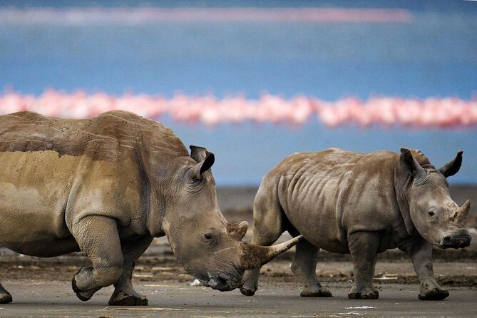 6 Days Lodge & Tented Camp Luxury - The Serengeti Trail & Tarangire - Why this six-day route works