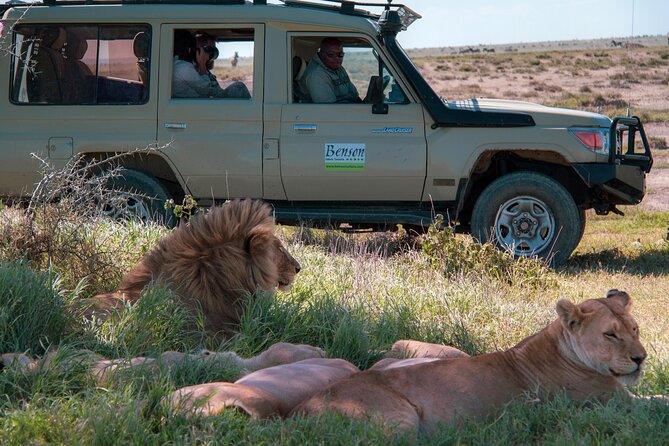 6 Days Lodge & Tented Camp Luxury - The Serengeti Trail & Tarangire - Day 2: Elephants and baobabs in Tarangire