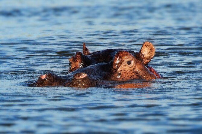 6 Days Luxury Migration Safari-Northern Tanzania - What the $3,725 price covers