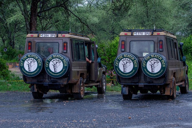 6 Days Luxury Northern Circuit Safari - A Glimpse of Tanzania Adventure - What this six-day Tanzania route gets right