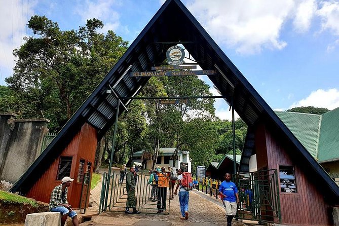 6 Days Machame Route Hike - Day 1: Moshi to Machame Gate and the forest trail
