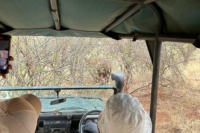 6 Days Machame route Kilimanjaro climbing - Day 6: Millennium Camp to Mweka Gate
