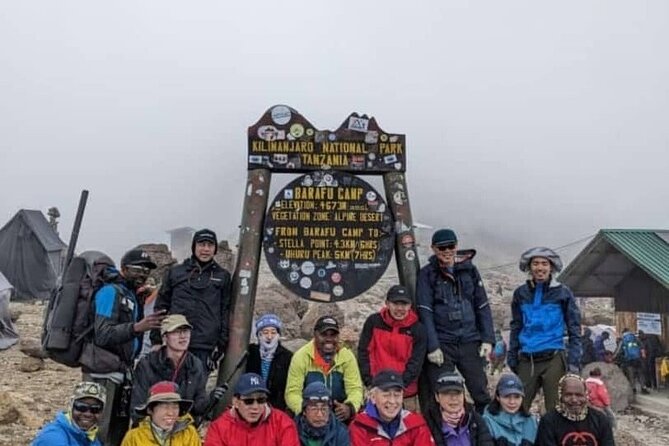 6 Days Machame Route Kilimanjaro Climbing Trekking Tour - Day 2: Shira Cave Camp and the end of the forest