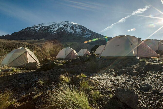 6 Days MARANGU ROUTE (Kilimanjaro Trekk) - What the six-day Marangu Route really offers