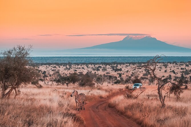 6 Days Mount Kilimanjaro Climbing via Rongai Route - Key points before you book