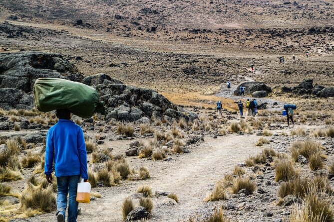 6 Days Mount Kilimanjaro Climbing via Rongai Route - Day 5: Stella Point, Uhuru Peak, and the hardest hours