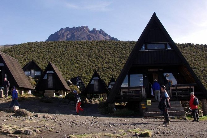 6 Days Mount Kilimanjaro Trek Marangu Route - Day 4: Horombo Hut to Kibo Hut