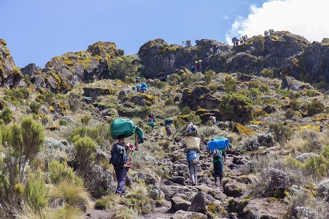 6 Days Mount Kilimanjaro Trek Marangu Route - Day 5: The midnight climb to Uhuru Peak