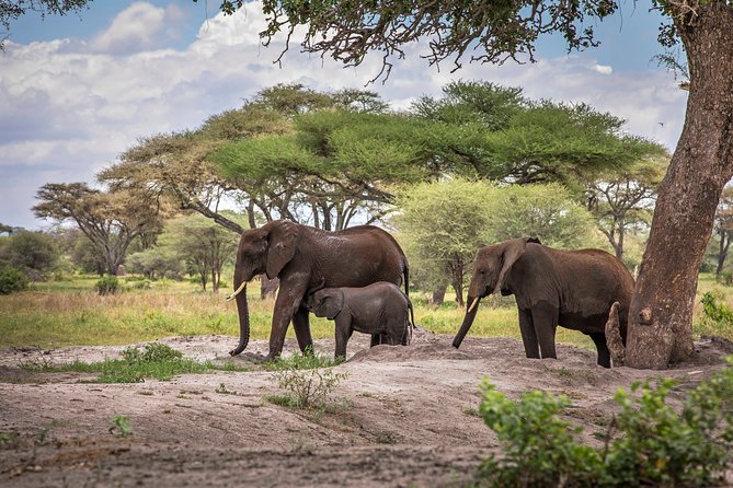 6 Days Private Budget Safari - Day 2: the rough road to Serengeti