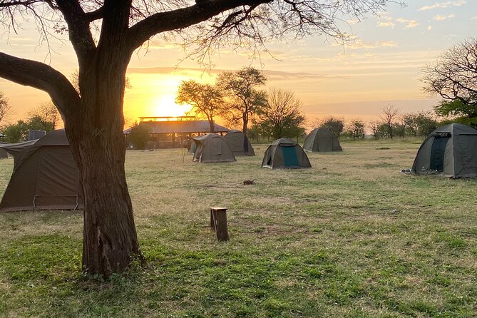 6 Days Private Budget Safari - Day 4: one last Serengeti morning, then Ngorongoro