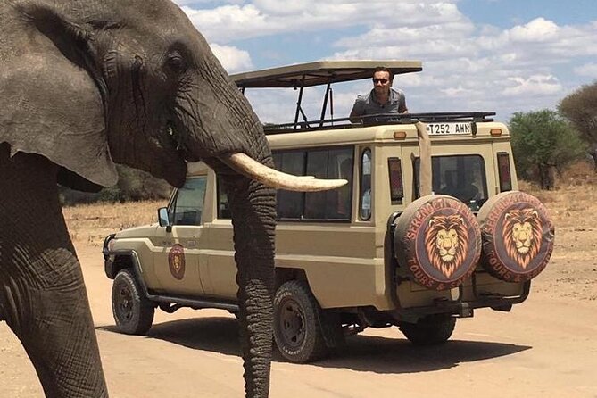 6 Days Private Budget Safari - The guide can shape the whole trip