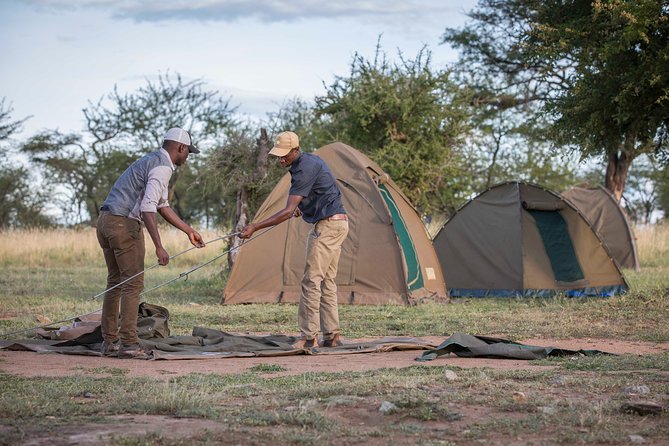 6 Days Private Budget Safari - Day 3: a full Serengeti game-drive day
