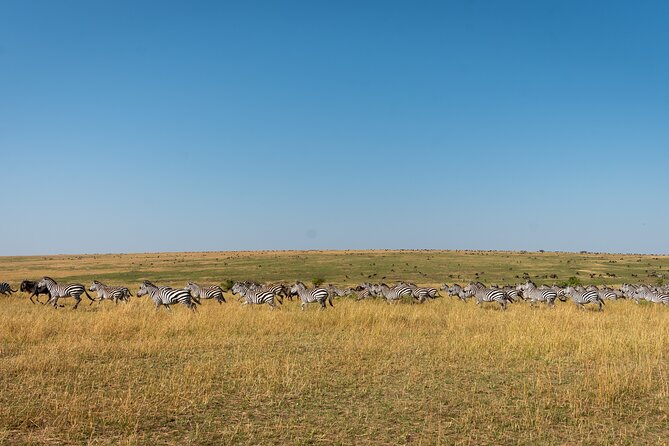 6 Days Private Safari Tour - Day 6: Lake Manyara and the trip home