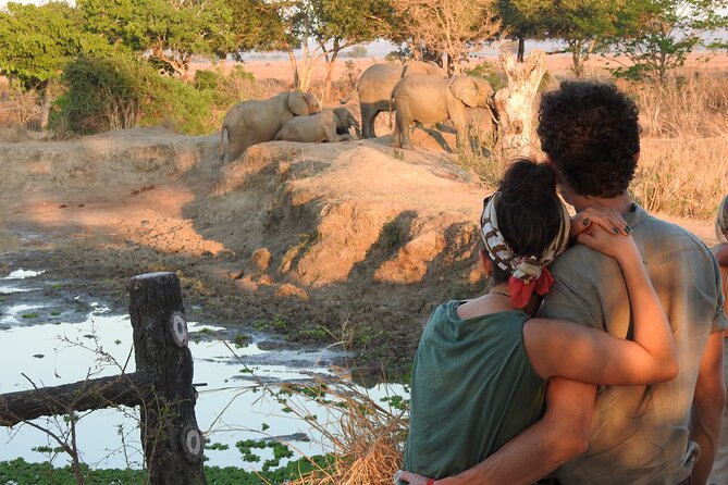 6 Days Private Safari with Mid-range Lodges or Camps - Mid-range lodging, meals, and the $3,215 price