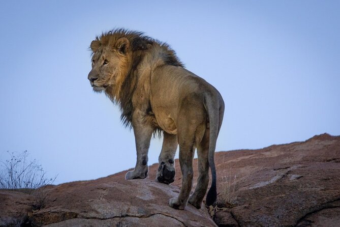 6 Days Safari : Manyara, Ngorongoro, Serengeti & Tarangire National Park - Day 3: The long road into Serengeti
