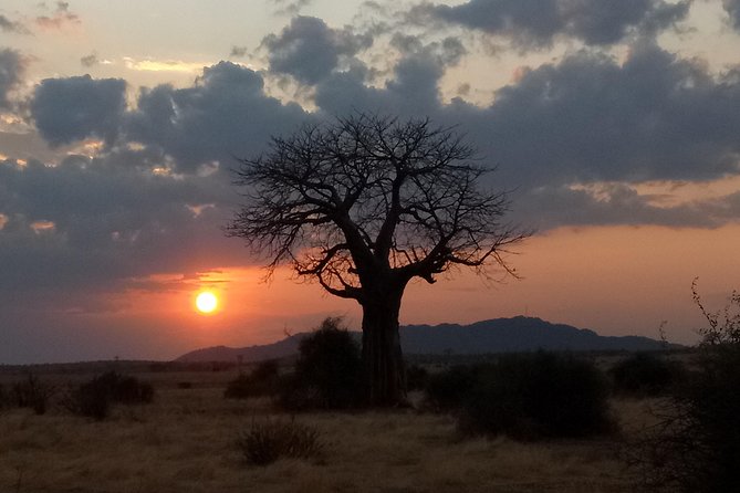 6 Days Safari to Udzungwa Mountain NP, Ruaha NP and Mikumi NP - Day five: a close look at the bush on foot