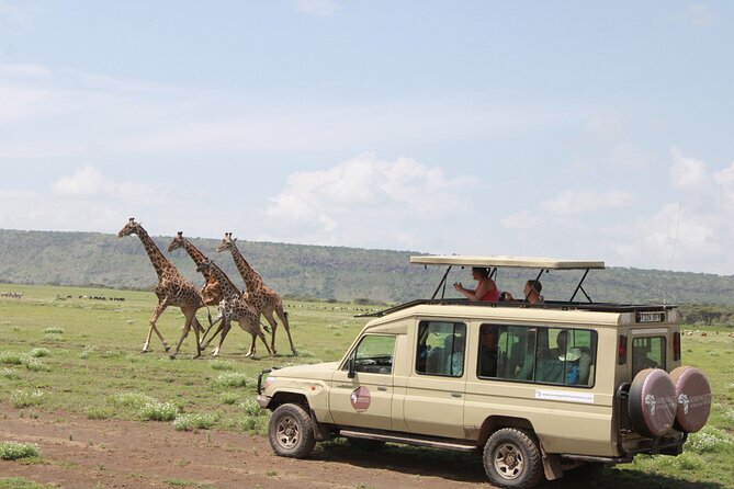 6 Days Serengeti Safari(hiking waterfalls &coffee tour) - Day 1: Tarangire’s elephants and baobabs