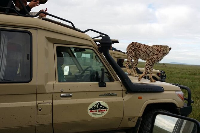 6 Days Tanzania Budget Camping Safari - Day 4: Sunrise in Serengeti and a night near Ngorongoro