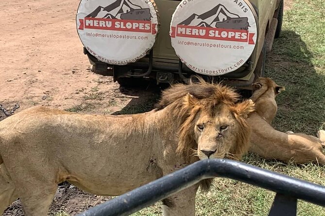 6 Days Tanzania Budget Camping Safari with Migration - Day 4: Sunrise in Serengeti and the road to Ngorongoro
