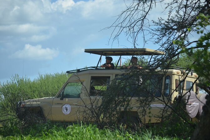 6 days Tanzania budget safari - Day 1: Tarangire and the first close wildlife encounters