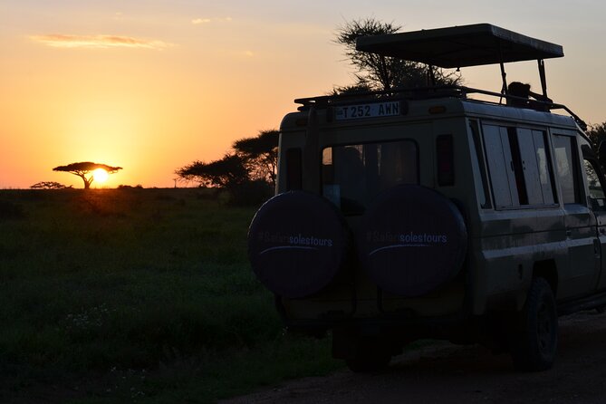 6 days Tanzania budget safari - Day 6: Lake Manyara, flamingos, and a final wildlife search