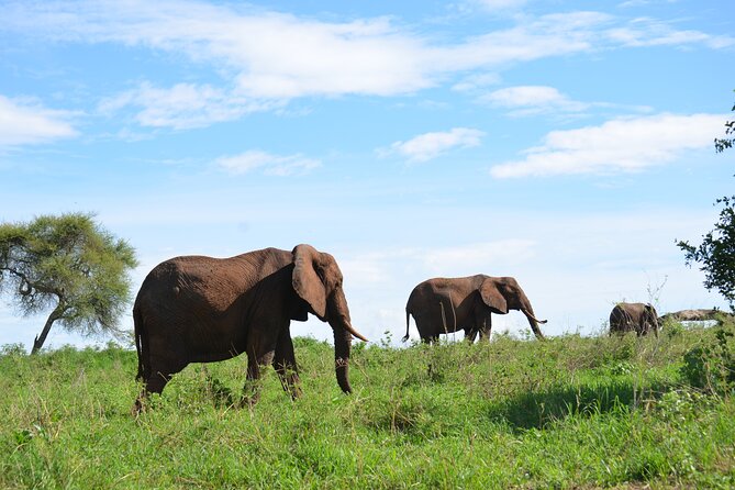 6 days Tanzania budget safari - Camping, food, and the small-jeep setup