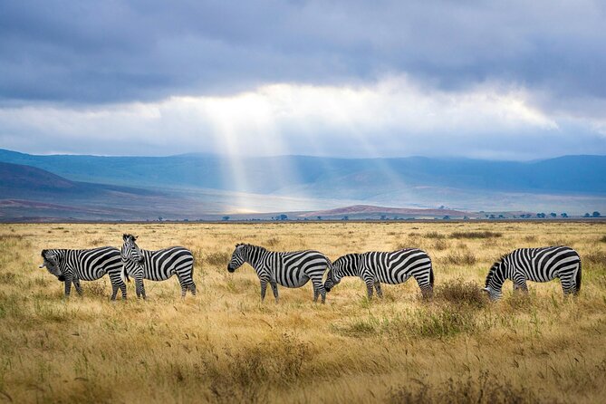 6 Days Tanzania Bush Experience Safari - Why Lake Natron makes this six-day safari different