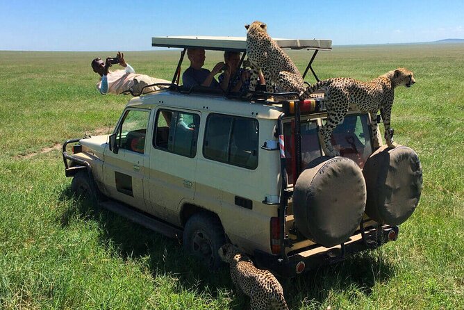 6 Days Tanzania Bush Experience Safari - Ngorongoro Crater, the compact wildlife day