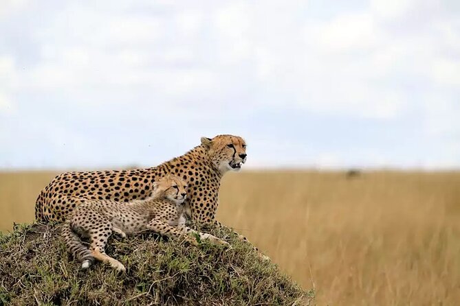 6 Days Tanzania Bush Experience Safari - Entering the Serengeti through Klein’s Gate