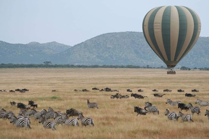6 Days Tanzania Classic Safari - Day 2: Tarangire’s elephants and baobab country