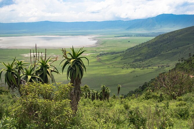 6 Days Tanzania Classic Safari - Day 6: Lake Manyara and the airport connection