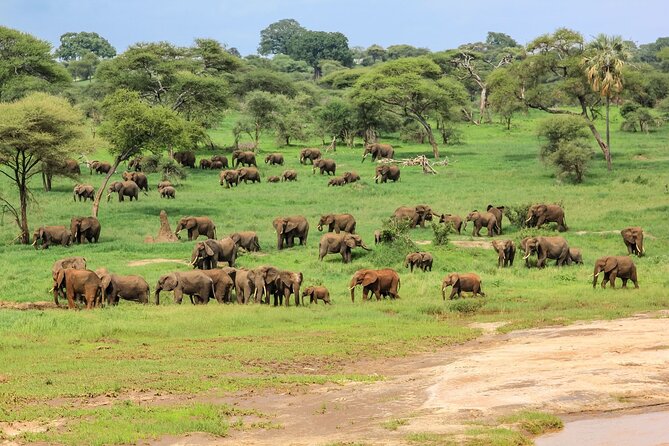 6 Days Tanzania Classic Safari - Lodging, meals, and what the price really covers