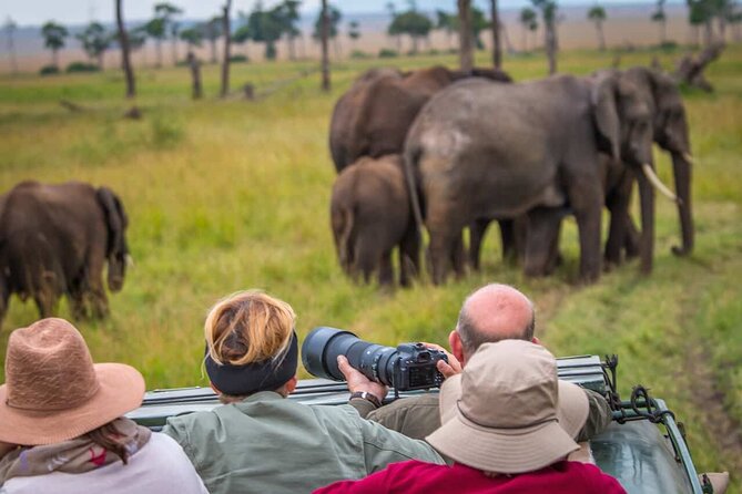 6 Days Tanzania Northern Circuit Safari - Day 6: Ngorongoro Crater before Moshi