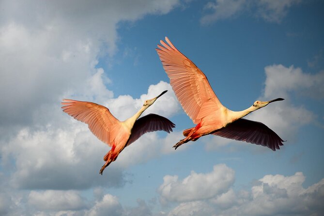6 Days Tanzania Northern Circuit Safari - What $5,200 per person really covers