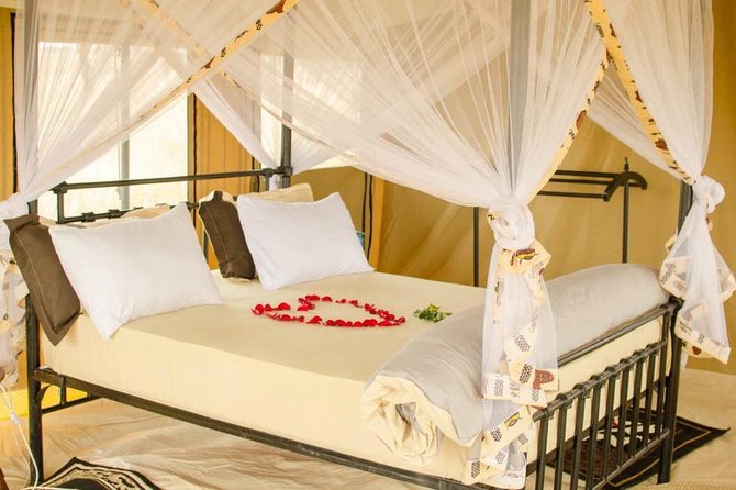 6 Days Tanzania Wildlife Camping Safari - What this safari is really like
