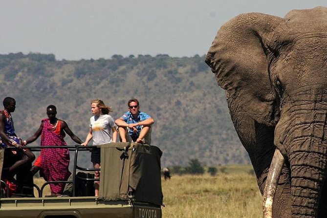 6 Days Tanzania Wildlife Camping Safari - Day 1: arriving in Arusha from the airport
