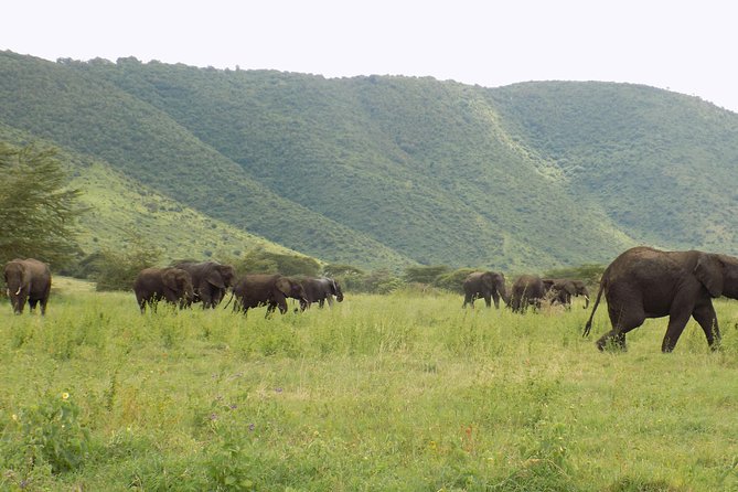 6 Days Tanzania Wildlife Safari Tour - What the $2,500 price covers