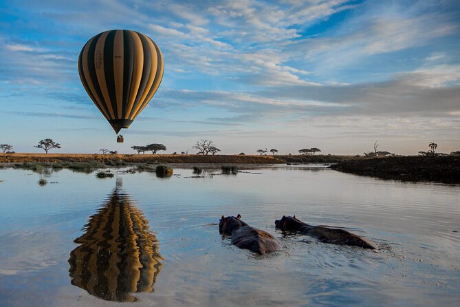 6 Days Tarangire, Serengeti, Ngorongoro & Manyara Joining Tour - Four northern parks in six demanding days