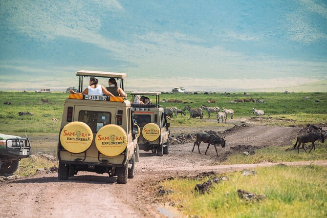 6-DayThe Best of Northern Tanzania Safari - Day 1: A soft landing after Kilimanjaro Airport