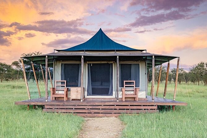 6-DayThe Best of Northern Tanzania Safari - Day 4: From the Serengeti to Ngorongoro