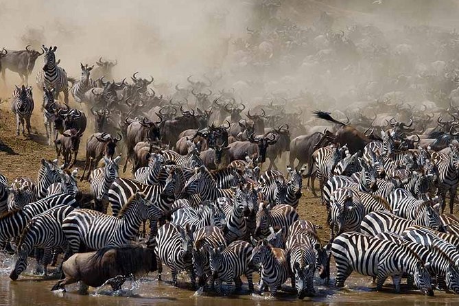 7 Day 6 nights Great Migration Classic Tanzania Safari - Key points to know before booking