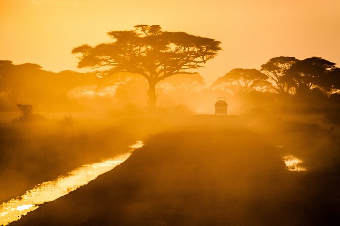 7 Day Grand Tanzania Safari - Day 7: Returning to Arusha