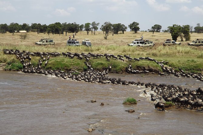 7-Day Great Migration Safari - Day 2: Lake Manyara and the Great Rift Valley