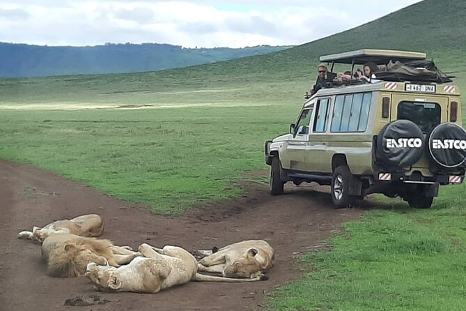 7-Day Great Migration Safari - Day 1: Tarangire’s elephants and Boundary Hill Lodge