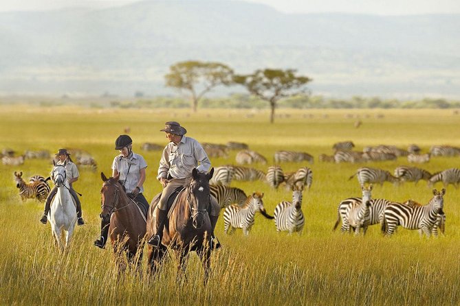7 Day Joined Safari Serengeti,Ngorongoro,Manyara,Tarangire,Arusha National Park - Day 5: Six hours inside Ngorongoro Crater
