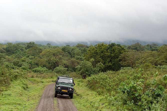 7 Day Joined Safari Serengeti,Ngorongoro,Manyara,Tarangire,Arusha National Park - Day 7: Arusha National Park adds walking and water